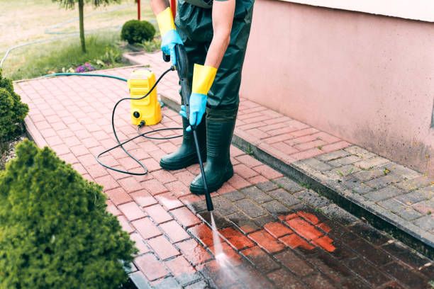 Best Deck Pressure Washing  in Mapleton, IA