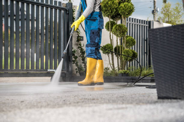 Best Exterior Home Cleaning  in Mapleton, IA