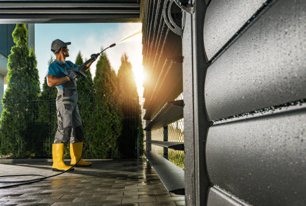Best Best Pressure Washing Companies  in Mapleton, IA