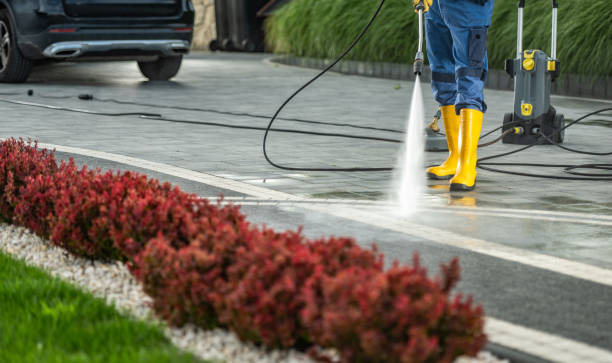 Best Residential Pressure Washing Services  in Mapleton, IA