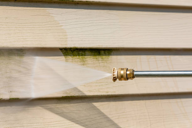 Best Garage Pressure Washing  in Mapleton, IA