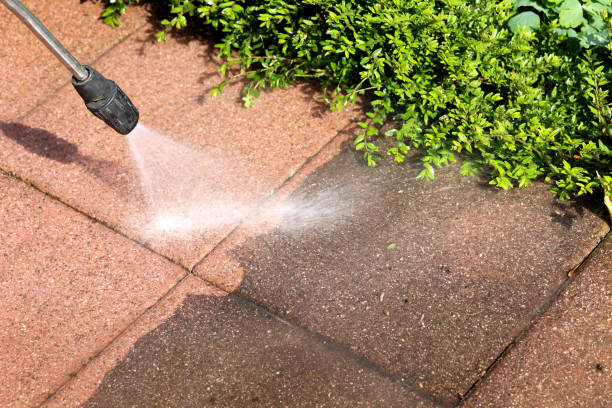 Best Local Pressure Washing Services  in Mapleton, IA