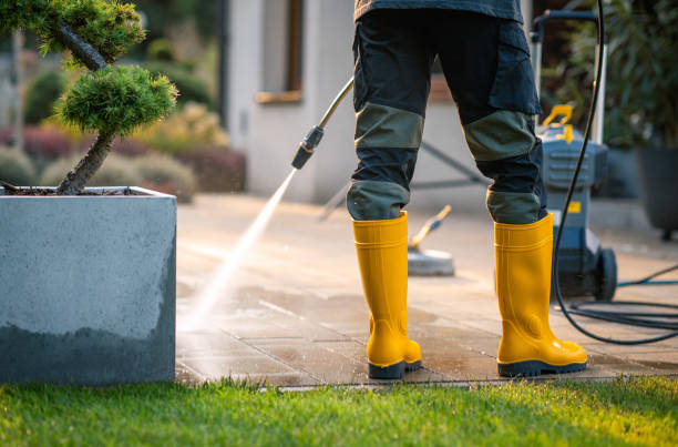 Best Local Pressure Washing Services  in Mapleton, IA